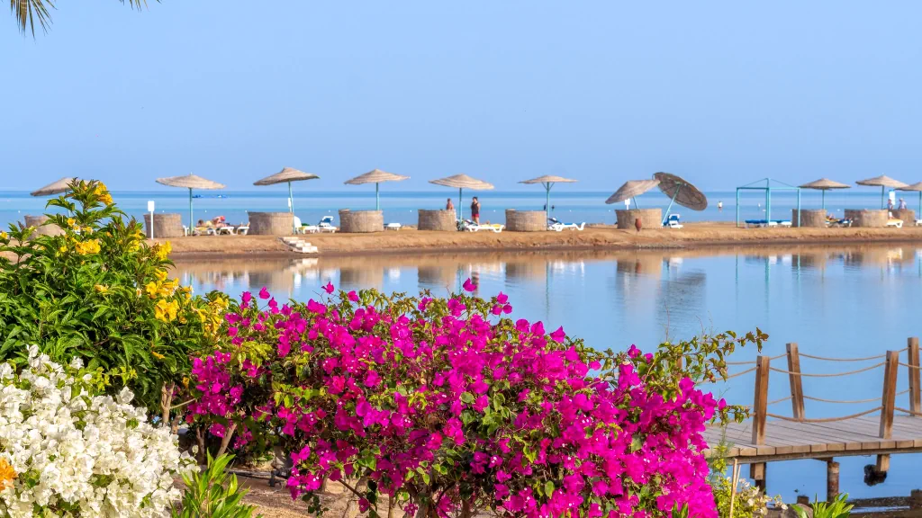 الفندق موفنبيك ريزورت - سوما باي